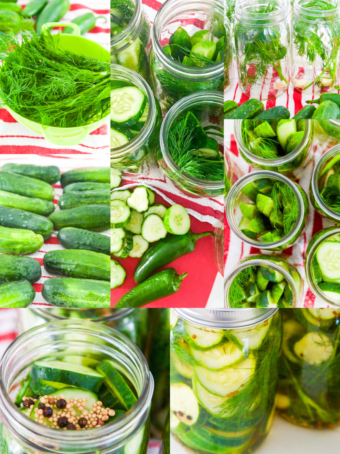 refrigerator-dill-pickle-recipe-no-canning-delicious-table