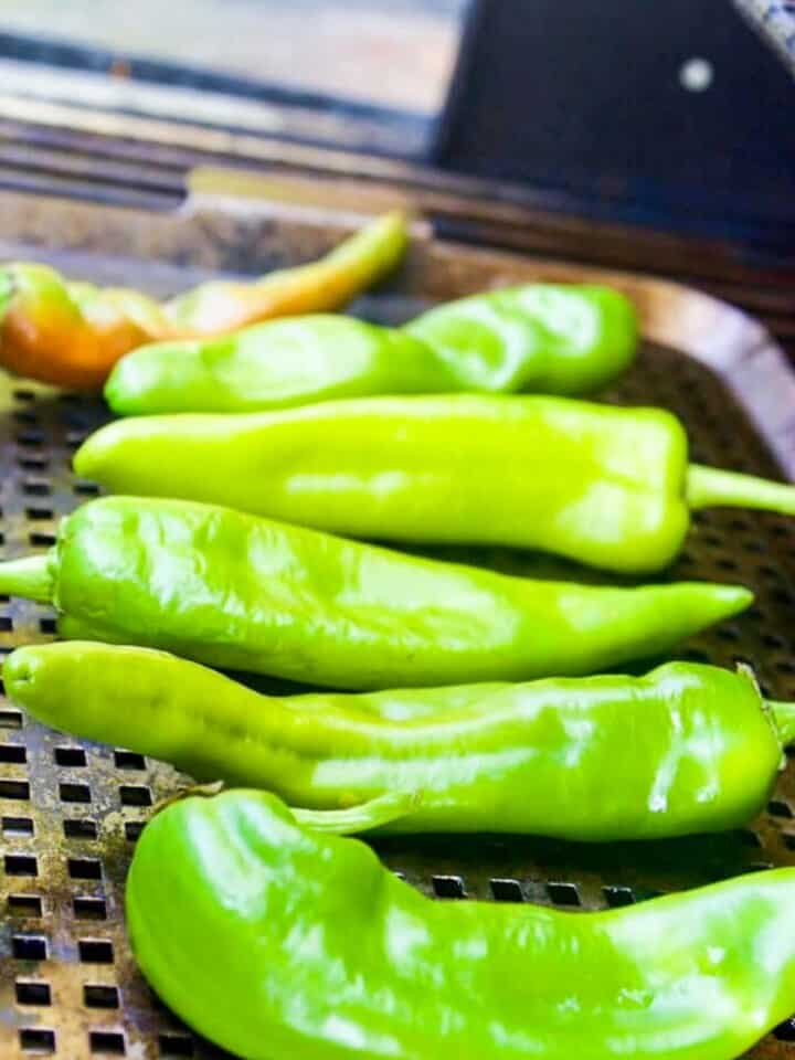 Hatch Chiles 80+ Recipes (Grill Roasting Tips) - Delicious Table